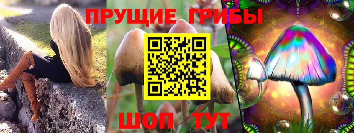 Галлюциногенные грибы Psilocybe  Вход с VPN  Калининград 