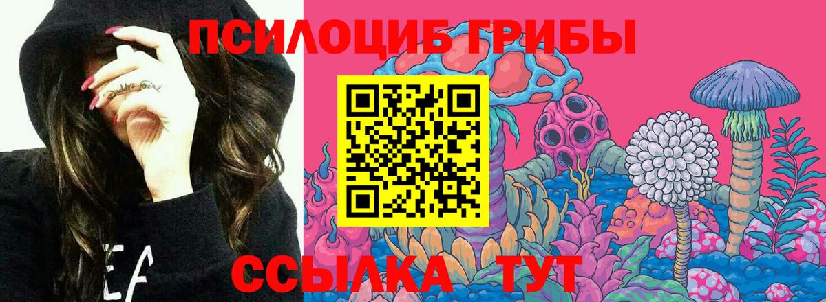 Галлюциногенные грибы Cubensis Калининград